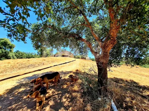 Herdade com 73,7 h em Relíquias, Odemira