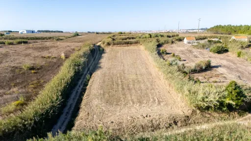 Terreno Rústico com 3.600 m² em Atouguia da Baleia
