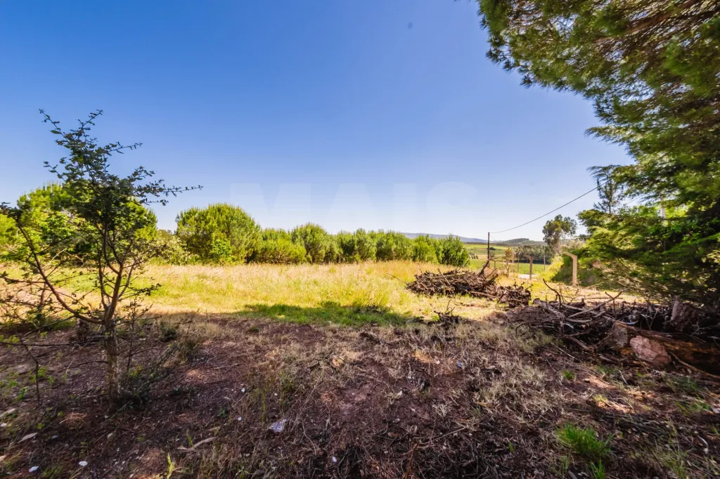 Moradia Isolada com Terreno de 9.840 m² em Barreiras – Cadaval