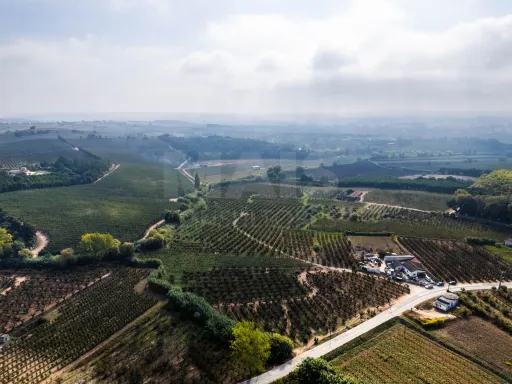 Quinta T4 C/ Garagem e mais de 13.000 m² terreno em Carvalhal, Bombarral