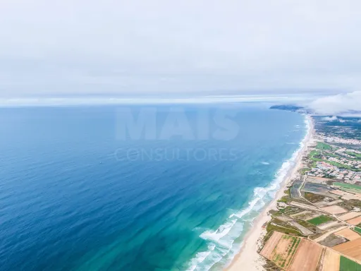 🏝️ Terreno Rústico em  Ferrel (Peniche)