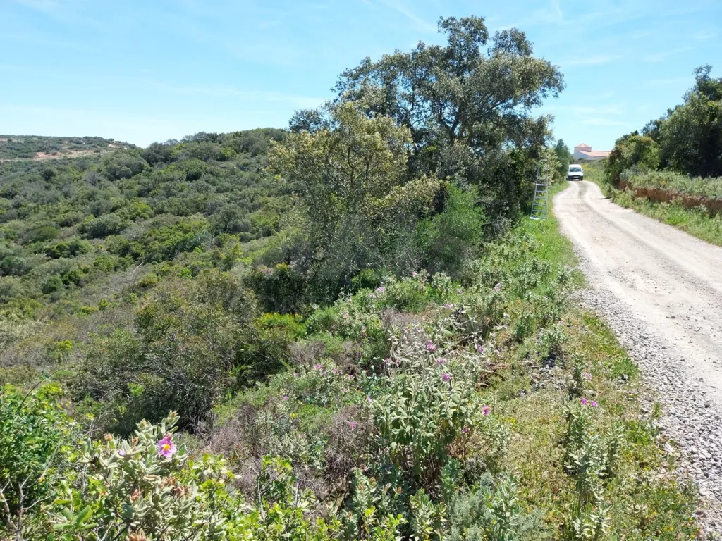 Terreno Rustico, vista serra.