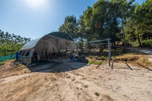 Terreno Agrícola na Fanadia | 16.100 m² de Potencial e Infraestruturas Preparadas