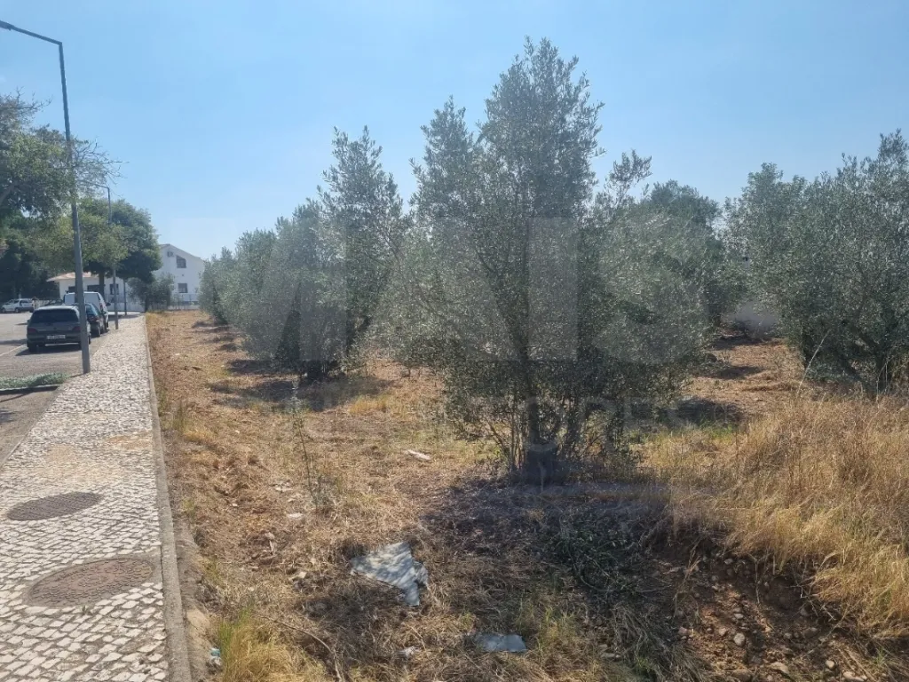 Terreno Rustico URBANIZAVEL Vila Nova da Barquinha
