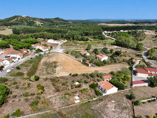 Terrano de 7.024 m2 com Potencial de Loteamento | Alcoentre