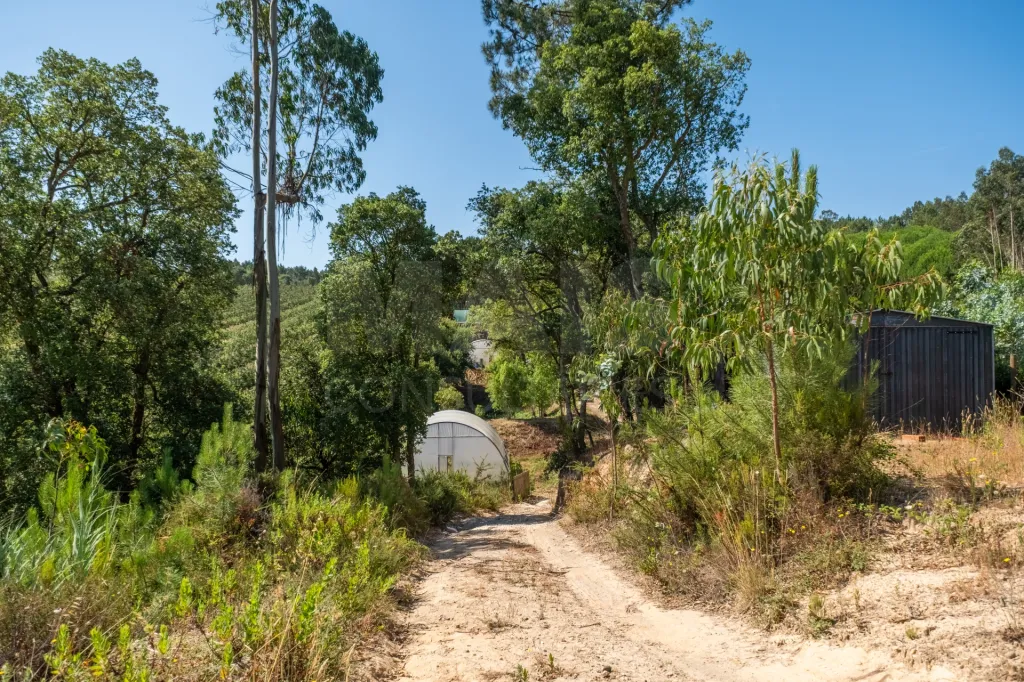 Terreno Agrícola na Fanadia | 16.100 m² de Potencial e Infraestruturas Preparadas