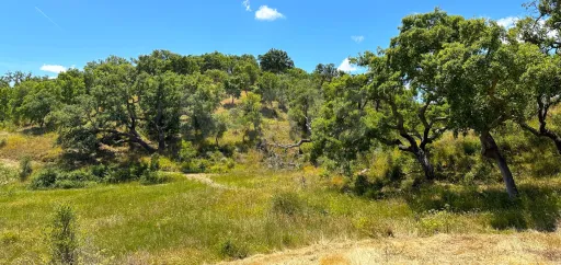 Herdade com 11,6 hectares em São Bartolomeu da Serra, Santiago do Cacém