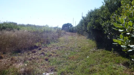 Quinta com Adega | 37.500 m² | Atouguia da Baleia, Peniche