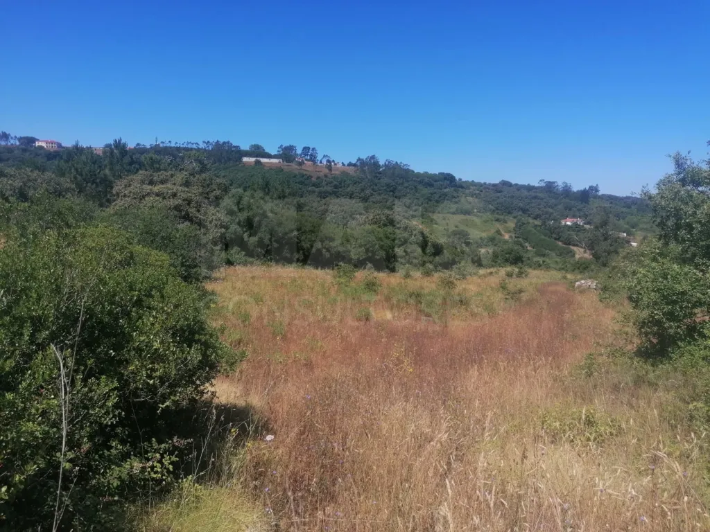 Terreno Rustico Em Sobral De Monte Agraço