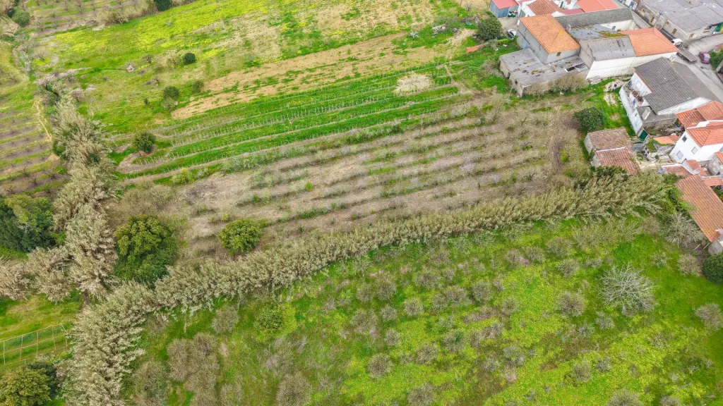 Terreno no centro da Usseira