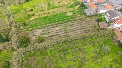 Terreno no centro da Usseira