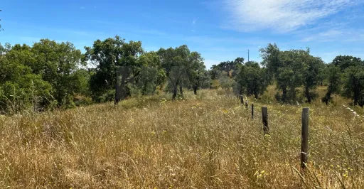 Herdade com 11,6 hectares em São Bartolomeu da Serra, Santiago do Cacém