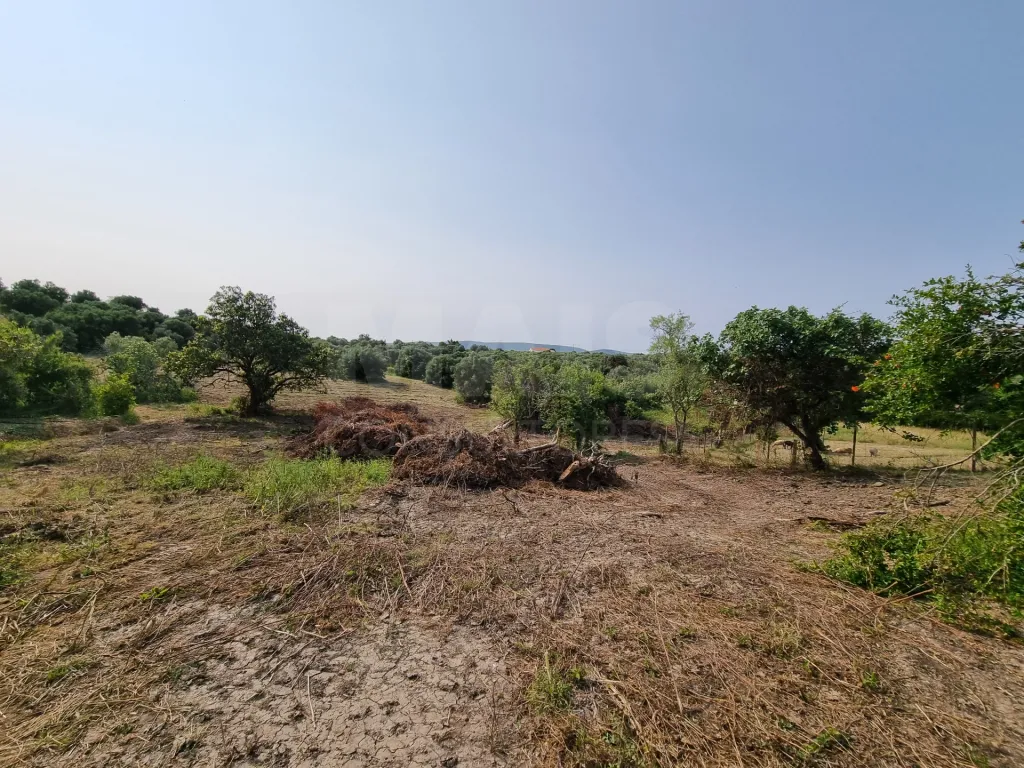 Terreno Misto com Ruina em TORRES NOVAS