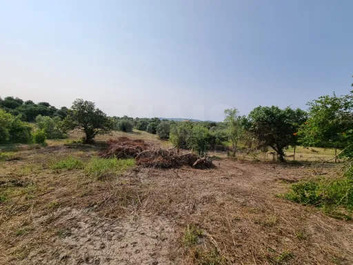 Terreno Misto com Ruina em TORRES NOVAS