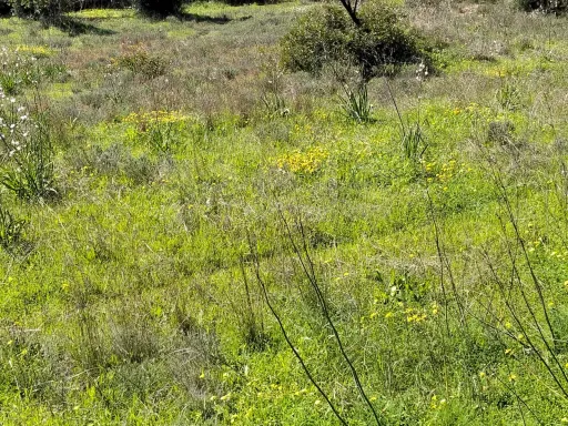 Lote de Terreno Rustico
