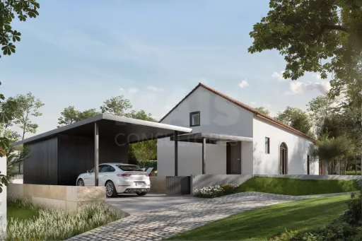 Reabilitação de Adega com Projeto Aprovado para Moradia T4 (*Possibilidade de Entrega Chave na Mão)