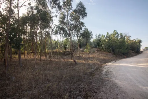 🌳 Terreno Misto – Surraipas, Freguesia de Olhalvo (Alenquer)