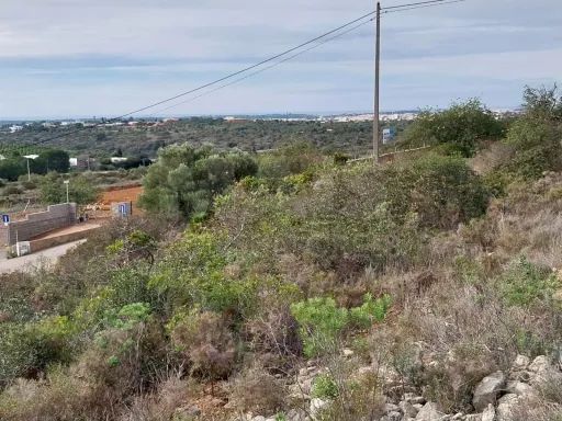 Bonito lote de terreno Rustico