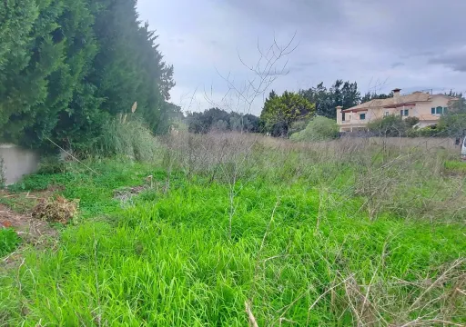 Land with Contemporary Architecture Project in Beloura Sintra