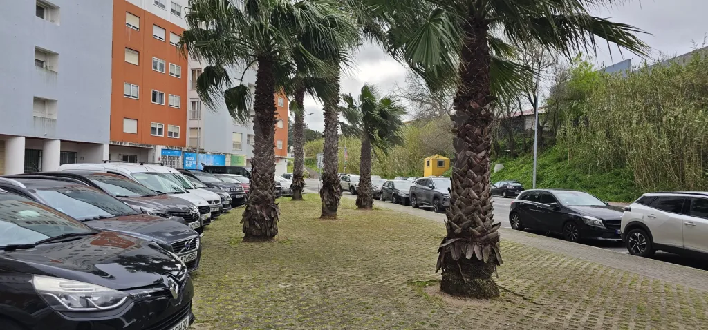Armazém ou Escritório Serviços em Alfragide com 100m2