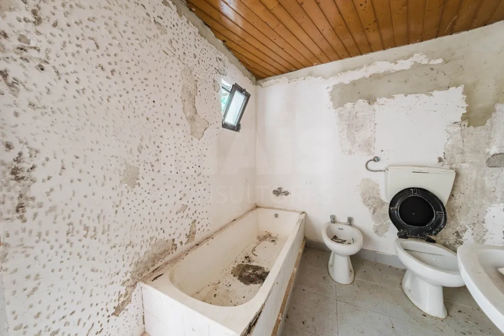 Quinta com duas moradias em ruína, poço e anexo com T0!