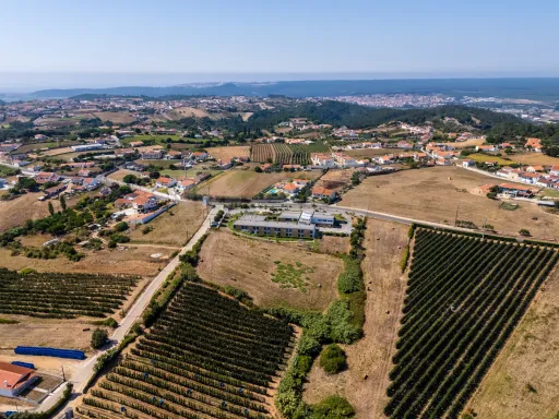 Terreno urbanizável- Zona Oeste Alcobaça