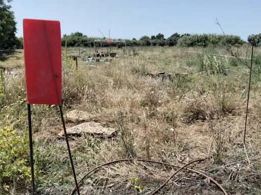 Lote de terreno rústico plano