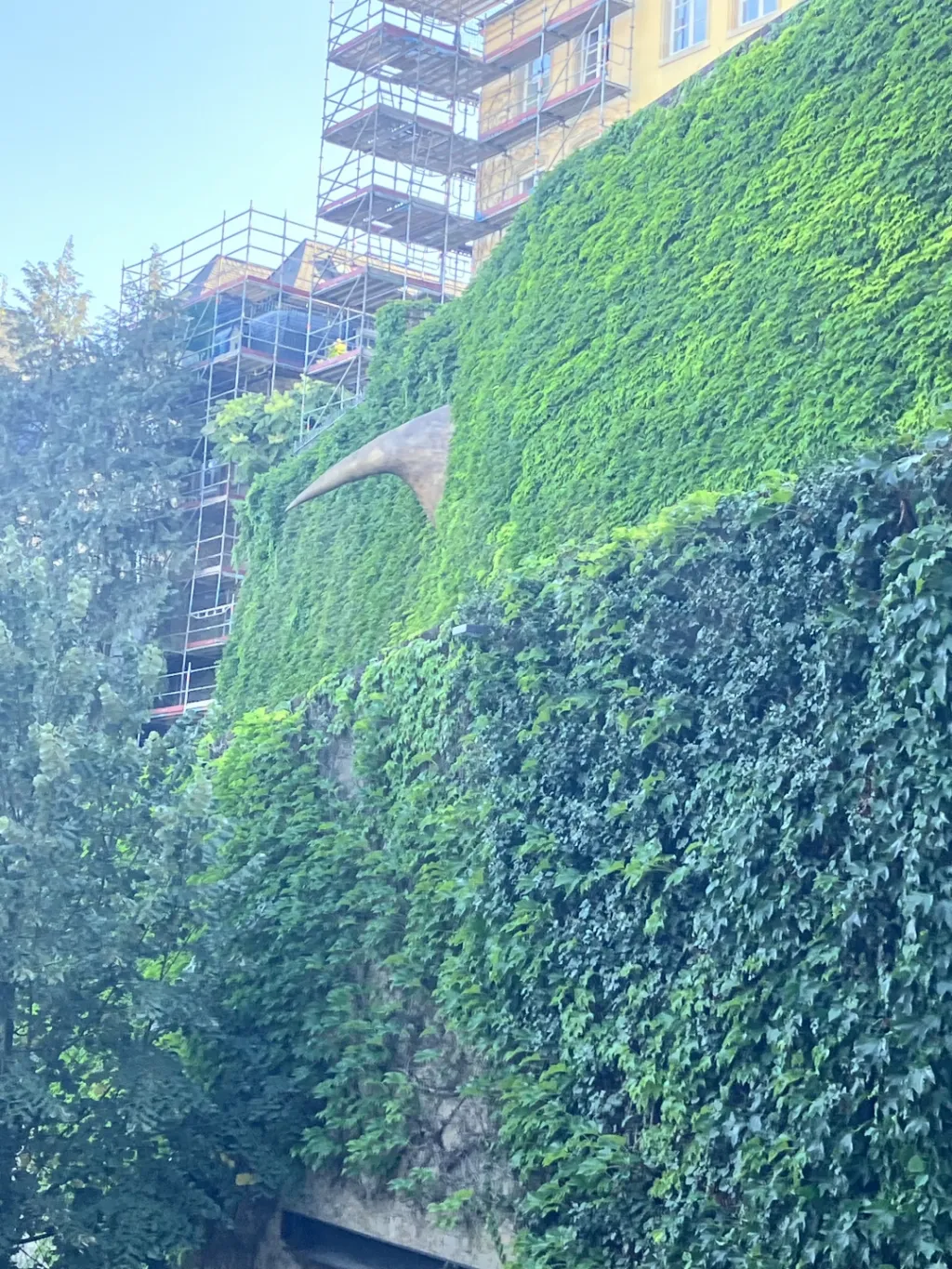 Terreno Foros de Salvaterra