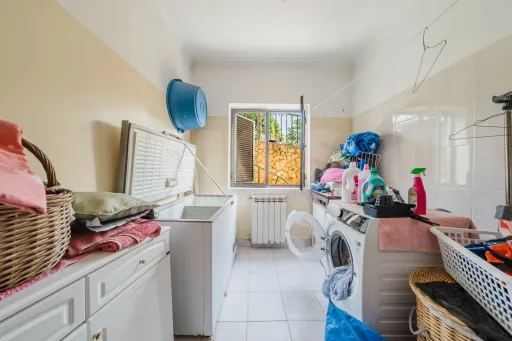 Propriedade única, a apenas 2 km de Alcobaça, com mais de 30.000 m² de terreno