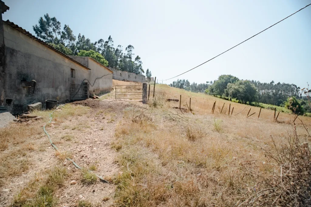Quintinha T3 com 7.616 m² de terreno urbano e anexos (Casal do Rei)