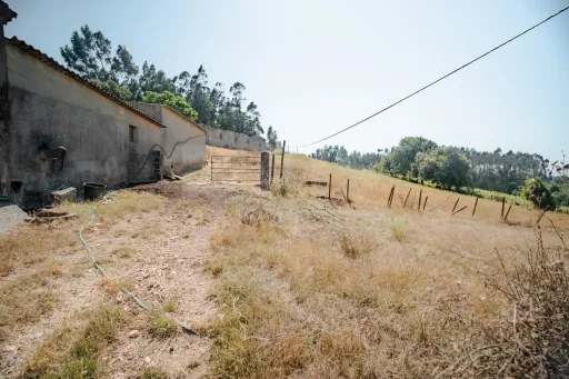Quintinha T3 com 7.616 m² de terreno urbano e anexos (Casal do Rei)