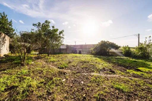 Quinta com duas moradias em ruína, poço e anexo com T0!