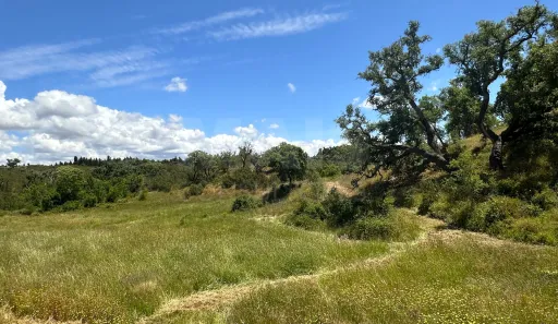 Herdade com 11,6 hectares em São Bartolomeu da Serra, Santiago do Cacém