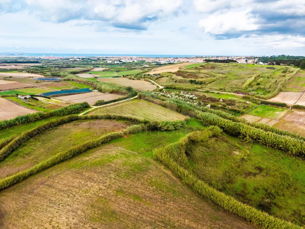 Terreno Rústico – Pombeira, Ferrel (Peniche)