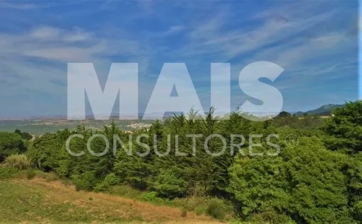 Terreno para Construção com 11640 M2 em Colares, Sintra