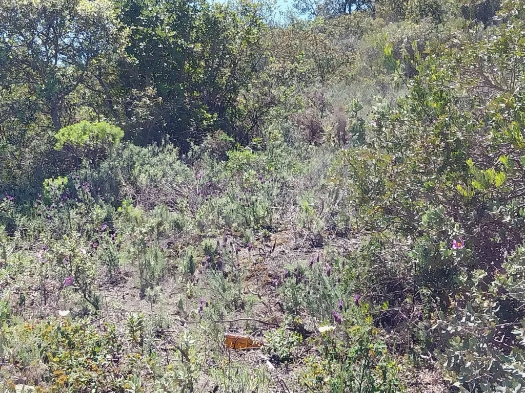 Terreno Rustico, vista serra.