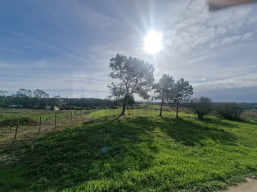 Rustic Land - Reinaldes