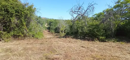 Terreno Misto com Ruina em TORRES NOVAS