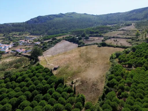 Terreno Único com PIP Aprovado na Serra de Montejunto – 22.000 m²