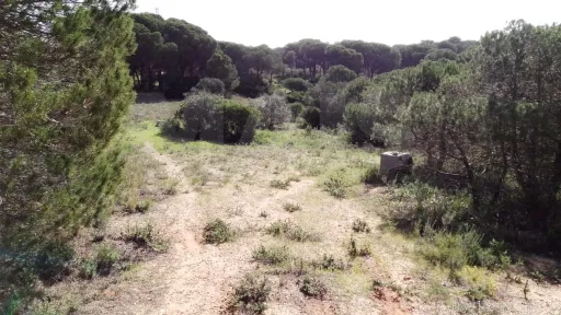 Lote de Terreno Rustico