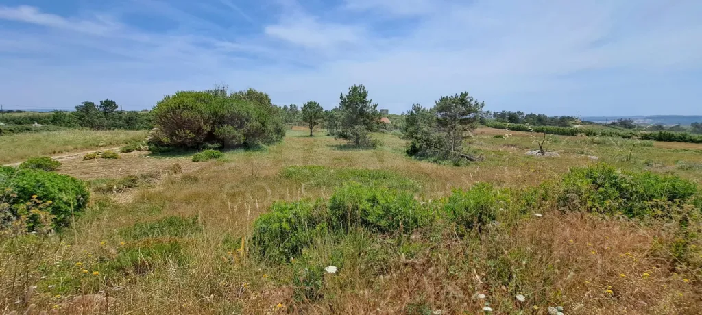 2 Plots of Land (Rural) in Serra dos Mangues, São Martinho do Porto