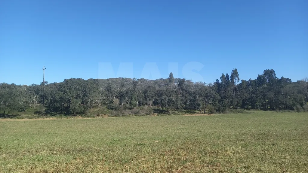 Herdade de 30 hectares em Cercal do Alentejo, Santiago do Cacém, Setúbal