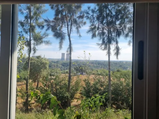 QUINTA, em  Casas Novas  - MOURISCAS -ABRANTES