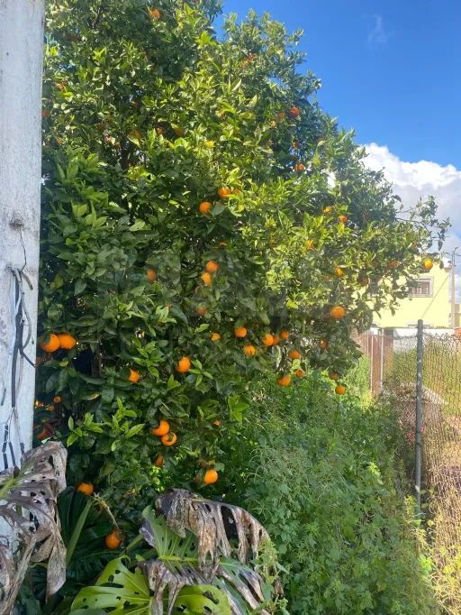 Moradia T2 em Cortiçois
