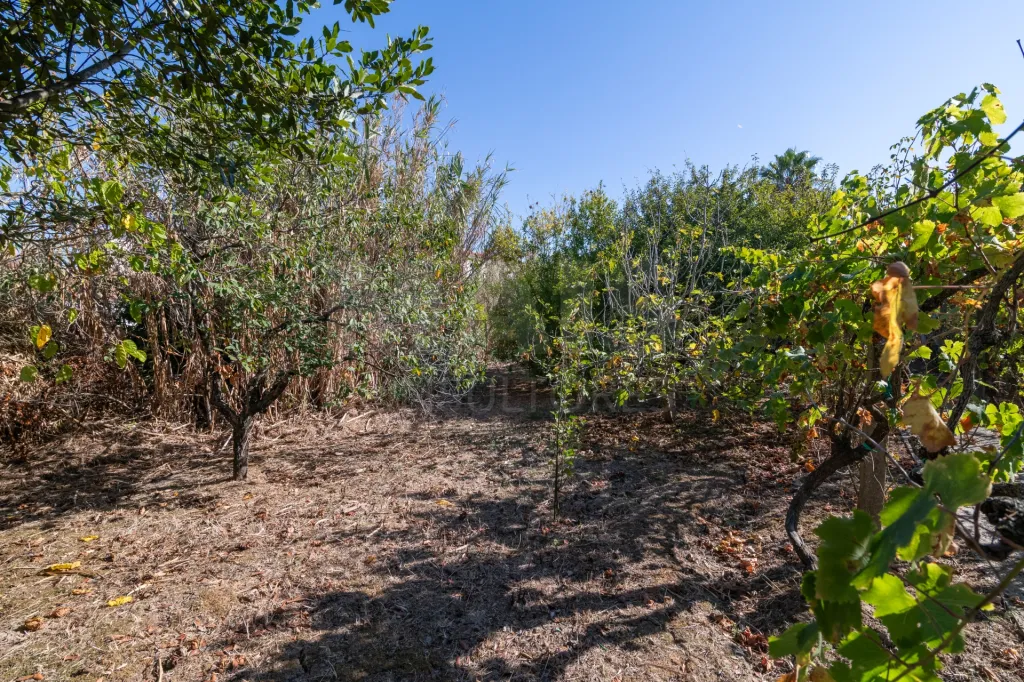 Duas Moradias com Terreno de 1.480 m² no centro da Lourinhã