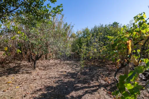 Duas Moradias com Terreno de 1.480 m² no centro da Lourinhã