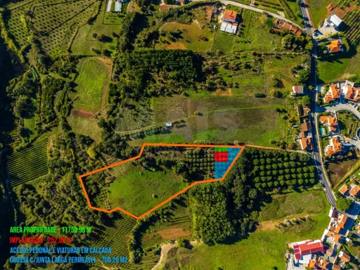 Terreno Amplo com PIP Aprovado – Ideal para Moradia Contemporânea