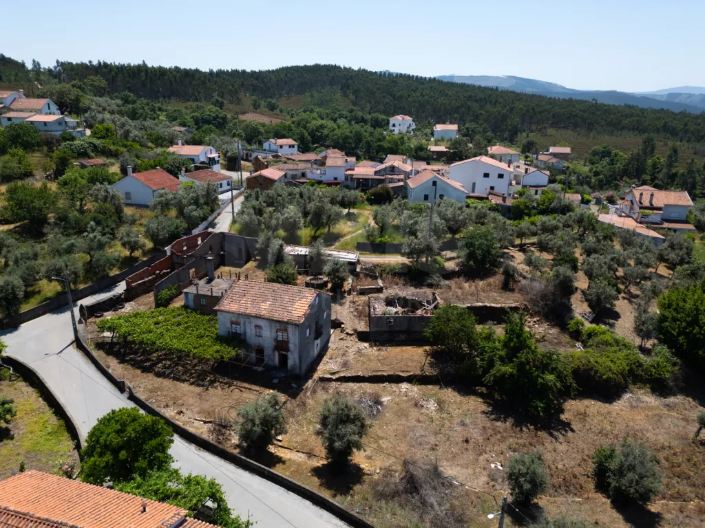 PROPRIEDADE DE CARÁTER NA N2 | 400 m² DE CONSTRUÇÃO, OLIVAL E POTENCIAL TURÍSTICO