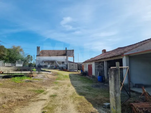 Quintinha com 6,2 Hectares, Água Abundante e 902 m² de Construção em Torres Novas