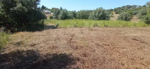 Terreno Misto com Ruina em TORRES NOVAS